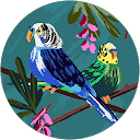 Rebeca Silva Ramírez profile picture